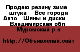 Продаю резину зима 2 штуки  - Все города Авто » Шины и диски   . Владимирская обл.,Муромский р-н